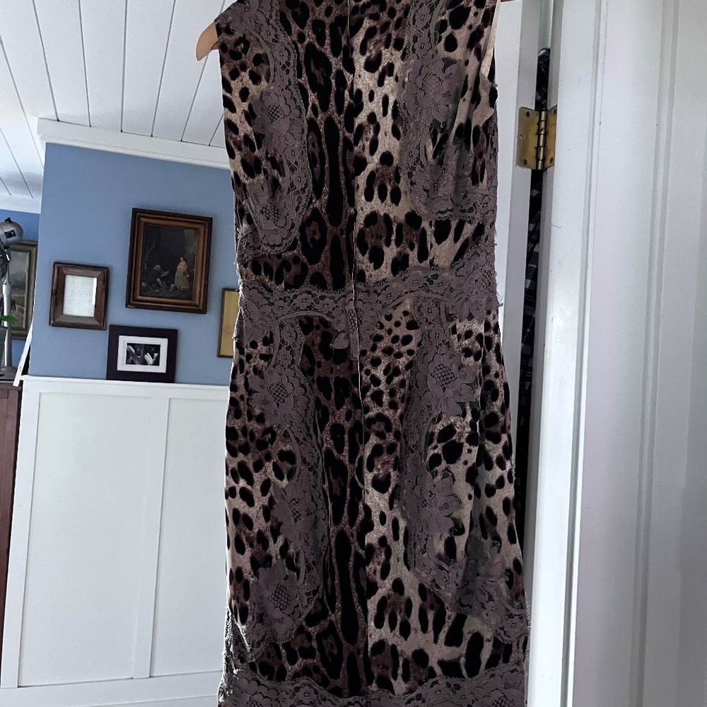 Dolce & Gabbana silk leopard print & lace dress IT38/0/XS - Picture 4 of 7